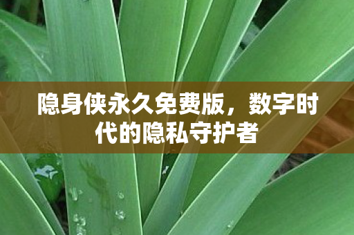 数字时代的隐私守护者图片