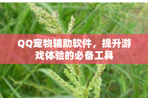 提升游戏体验的必备工具图片