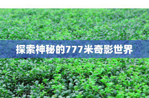 探索神秘的777米奇影世界图片