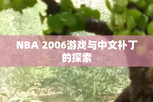 NBA 2006游戏与中文补丁的探索图片