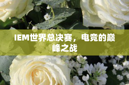 IEM世界总决赛图片