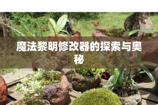 魔法黎明修改器的探索与奥秘图片