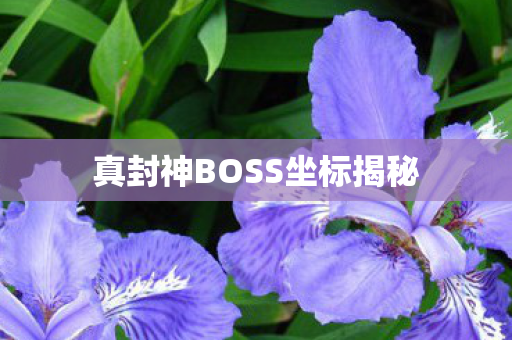 真封神BOSS坐标揭秘图片