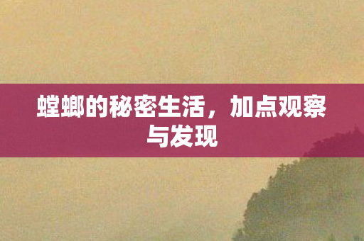 螳螂的秘密生活图片