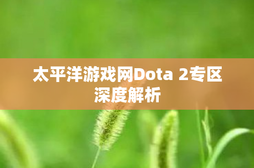 太平洋游戏网Dota 2专区深度解析图片