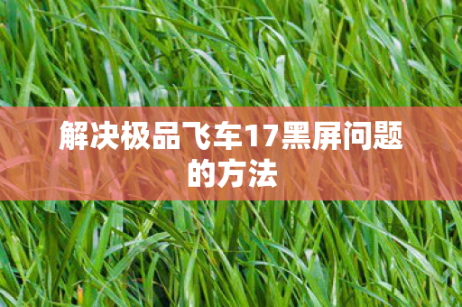 解决极品飞车17黑屏问题的方法图片