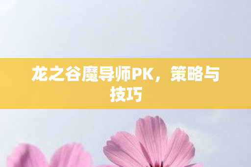 龙之谷魔导师PK图片
