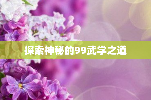 探索神秘的99武学之道图片