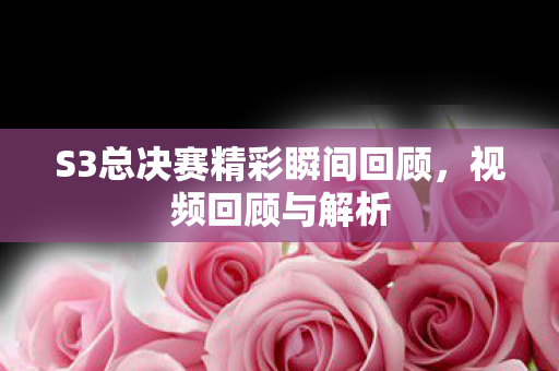S3总决赛精彩瞬间回顾图片