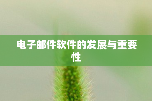 电子邮件软件的发展与重要性图片