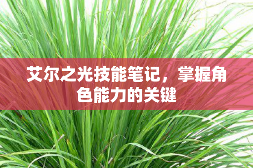 掌握角色能力的关键图片