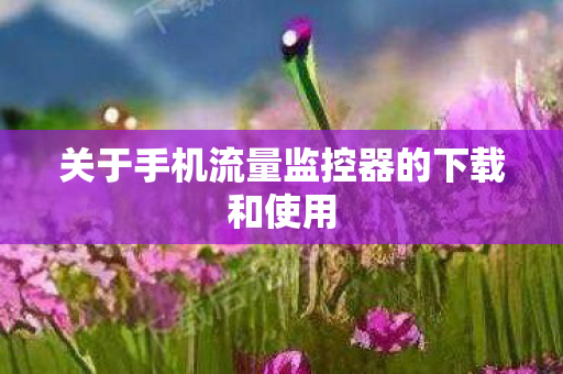 关于手机流量监控器的下载和使用图片