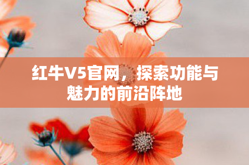 探索功能与魅力的前沿阵地图片