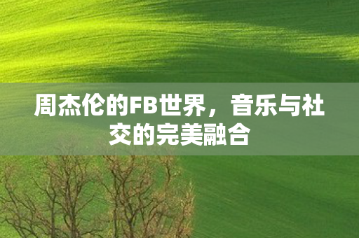 音乐与社交的完美融合图片