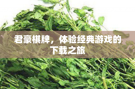 体验经典游戏的下载之旅图片