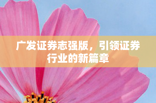 引领证券行业的新篇章图片