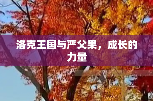 洛克王国与严父果图片