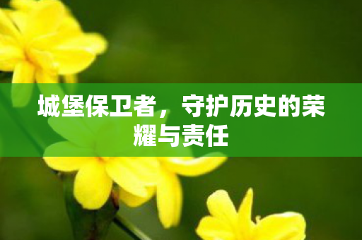 守护历史的荣耀与责任图片
