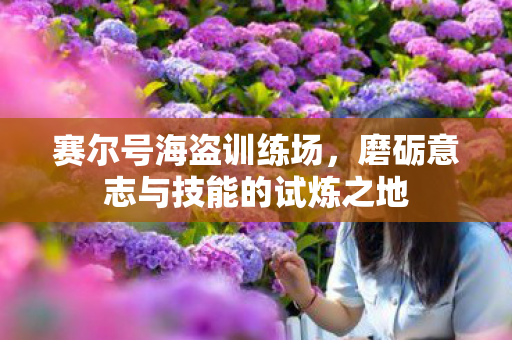 磨砺意志与技能的试炼之地图片