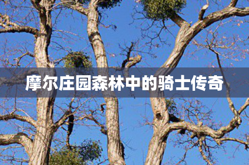 摩尔庄园森林中的骑士传奇图片