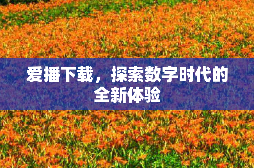 探索数字时代的全新体验图片
