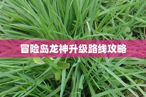 冒险岛龙神升级路线攻略图片