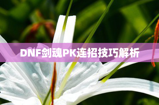 DNF剑魂PK连招技巧解析图片