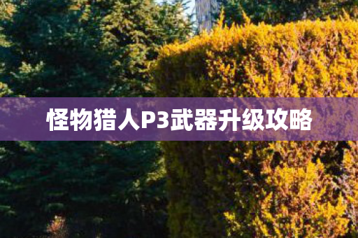怪物猎人P3武器升级攻略图片