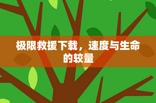 速度与生命的较量图片