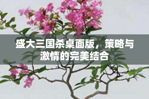 策略与激情的完美结合图片
