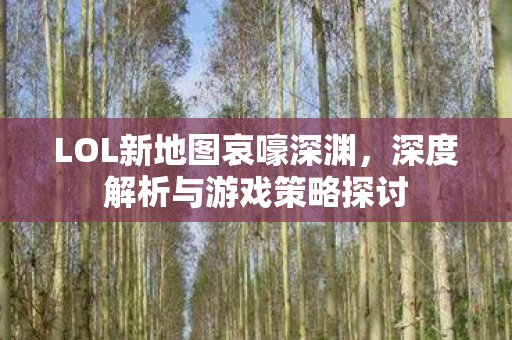 深度解析与游戏策略探讨图片