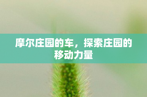 探索庄园的移动力量图片