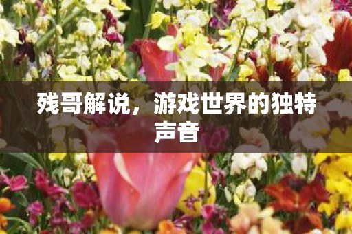 游戏世界的独特声音图片