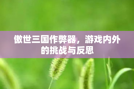 游戏内外的挑战与反思图片