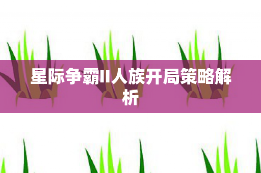 星际争霸II人族开局策略解析图片