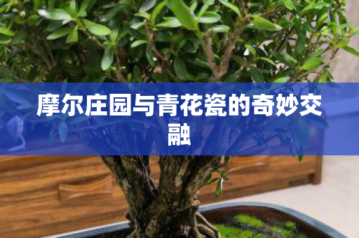摩尔庄园与青花瓷的奇妙交融图片