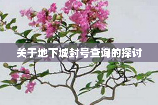 关于地下城封号查询的探讨图片