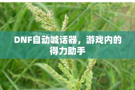 DNF自动喊话器图片