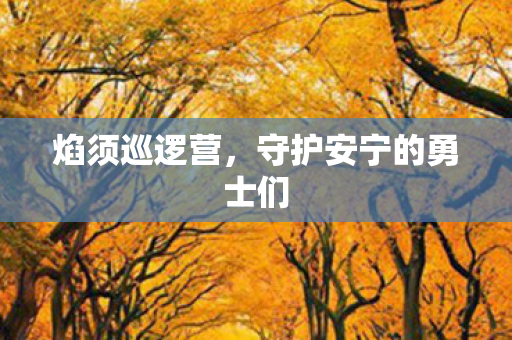 守护安宁的勇士们图片