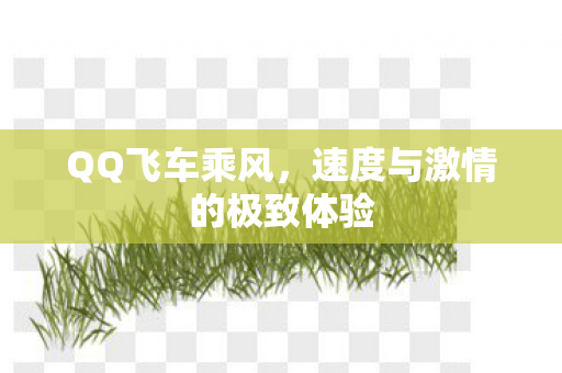 速度与激情的极致体验图片