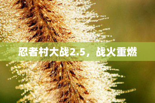 忍者村大战2图片