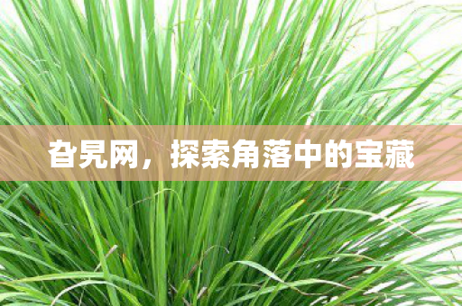 探索角落中的宝藏图片