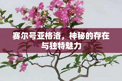 神秘的存在与独特魅力图片