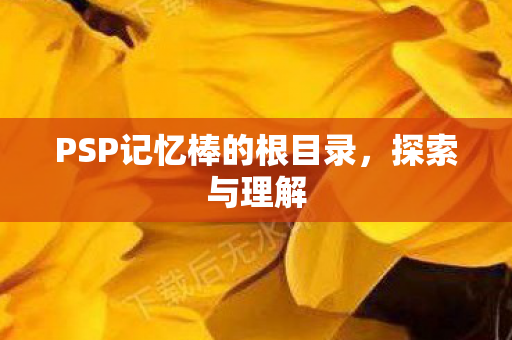 PSP记忆棒的根目录图片