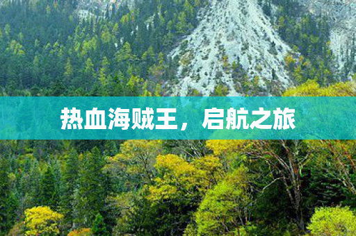 热血海贼王图片