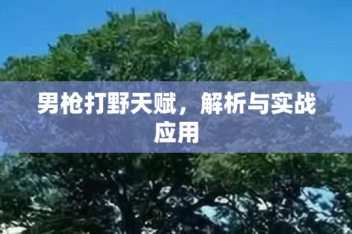 解析与实战应用图片