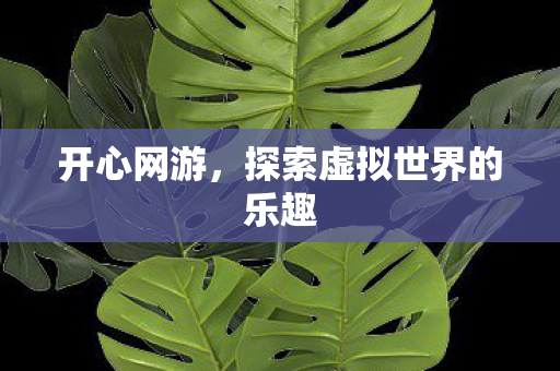 探索虚拟世界的乐趣图片