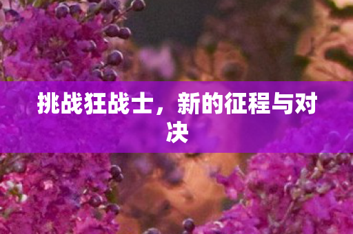 新的征程与对决图片