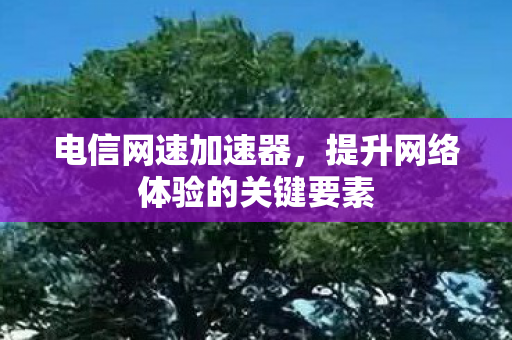 提升网络体验的关键要素图片