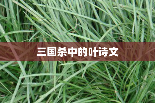 三国杀中的叶诗文图片
